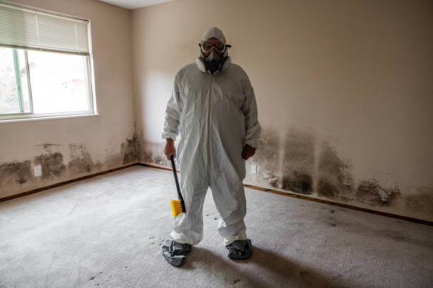 Best Emergency Mold Remediation  in Waldorf, MD